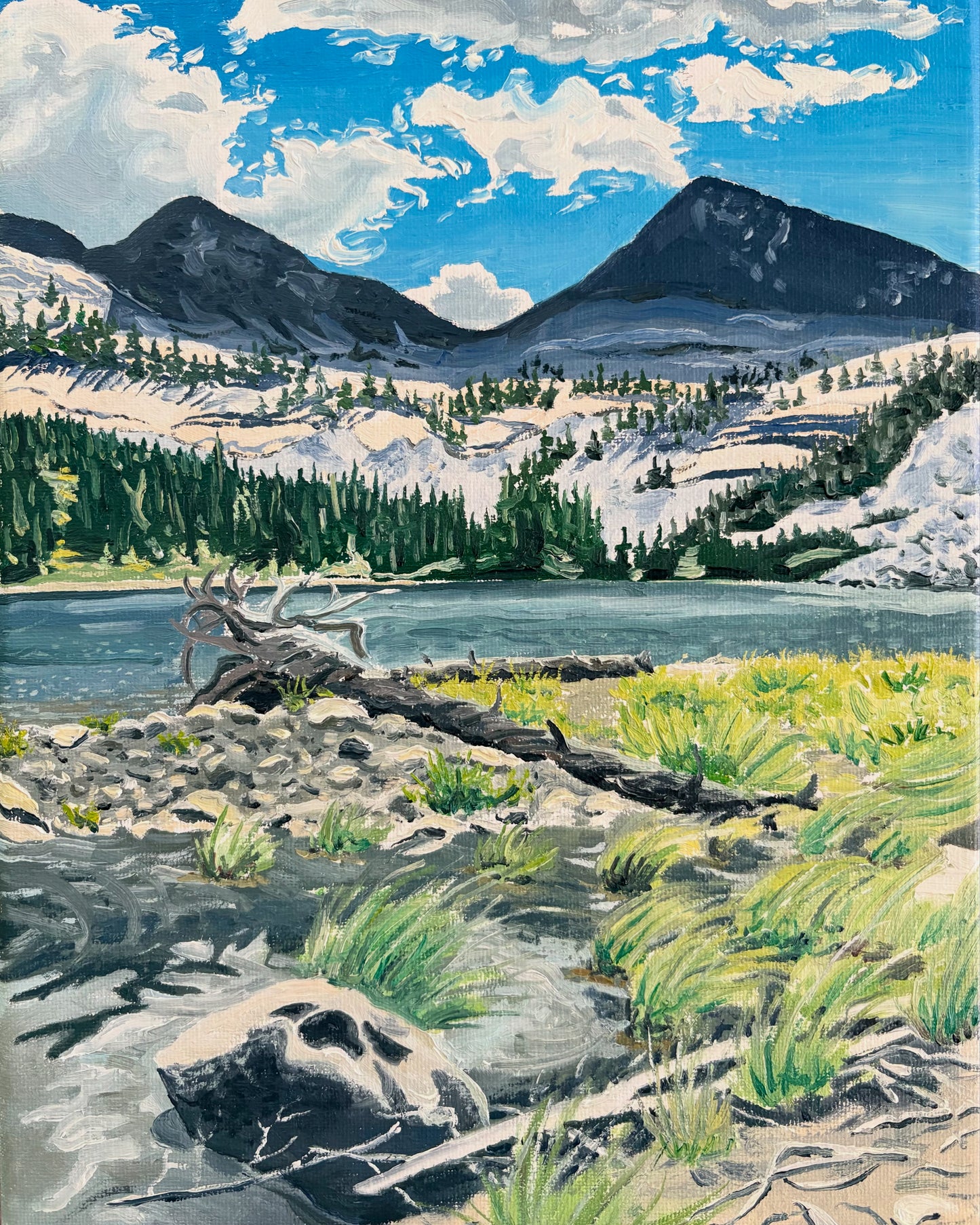 Blodgett Lake