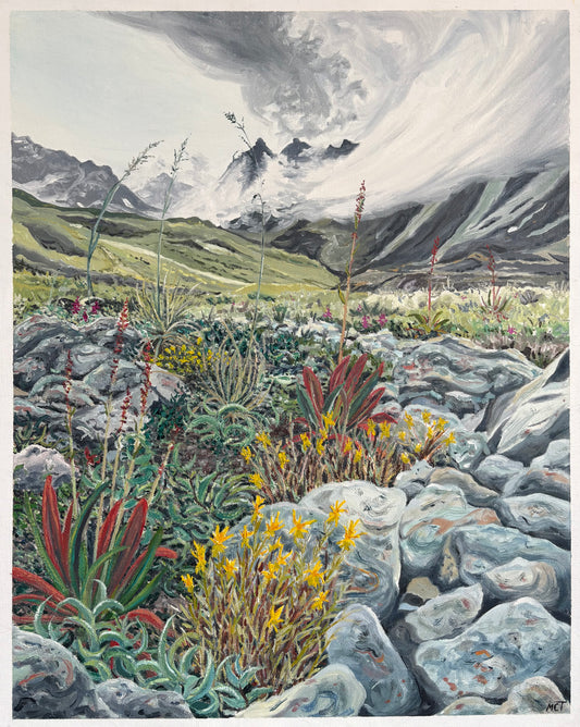 Talkeetna Mountains