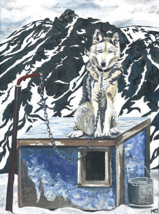 Sled Dog